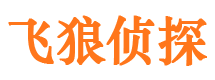 鸡冠寻人公司